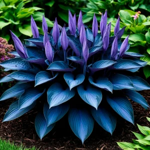 Хоста Сикрет Гров купить по цене от 570р. в интернет-магазине «Посадика» с доставкой почтой в в Карпинске и по всей России – [изображение №1].