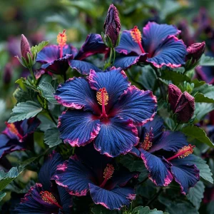 Гибискус Голден Глоу купить по цене от 259р. в интернет-магазине «Посадика» с доставкой почтой в в Карпинске и по всей России – [изображение №1].