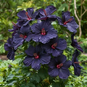 Гибискус Мэджик Момент купить по цене от 699р. в интернет-магазине «Посадика» с доставкой почтой в в Карпинске и по всей России – [изображение №1].